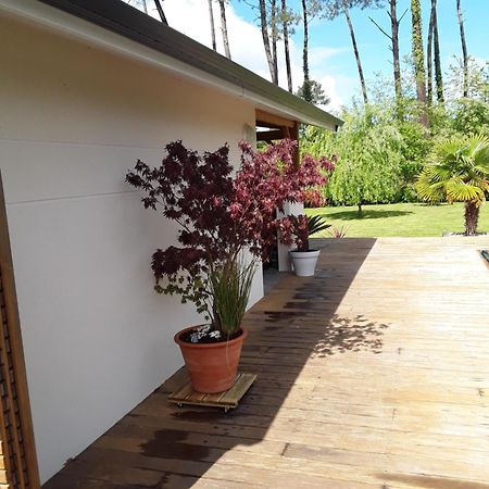 Chambre D'Hotes Les Iris A Mios Sur Le Bassin D'Arcachon Exterior foto